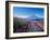 Mt. Fuji and a Lavender Bush-null-Framed Photographic Print