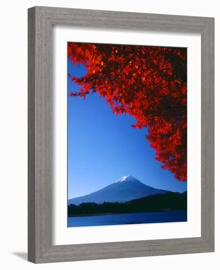 Mt. Fuji and Maple Leaves, Lake Kawaguchi, Yamanashi, Japan-null-Framed Photographic Print