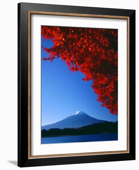 Mt. Fuji and Maple Leaves, Lake Kawaguchi, Yamanashi, Japan-null-Framed Photographic Print