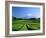 Mt. Fuji and Tea Garden, Fuji City, Shizuoka, Japan-null-Framed Photographic Print