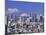 Mt.Fuji and Tokyo Shinjuku Area Skyline, Tokyo, Japan-Steve Vidler-Mounted Photographic Print