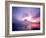 Mt. Fuji at Dawn, Viewed from Lake Motosu, Yamanashi, Japan-null-Framed Photographic Print