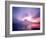 Mt. Fuji at Dawn, Viewed from Lake Motosu, Yamanashi, Japan-null-Framed Photographic Print