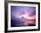 Mt. Fuji at Dawn, Viewed from Lake Motosu, Yamanashi, Japan-null-Framed Photographic Print