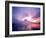 Mt. Fuji at Dawn, Viewed from Lake Motosu, Yamanashi, Japan-null-Framed Photographic Print