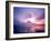 Mt. Fuji at Dawn, Viewed from Lake Motosu, Yamanashi, Japan-null-Framed Photographic Print