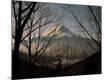 Photographic Print