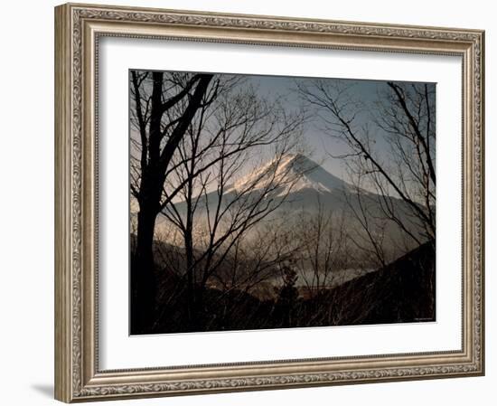 Mt. Fuji Beyond Trees-null-Framed Photographic Print