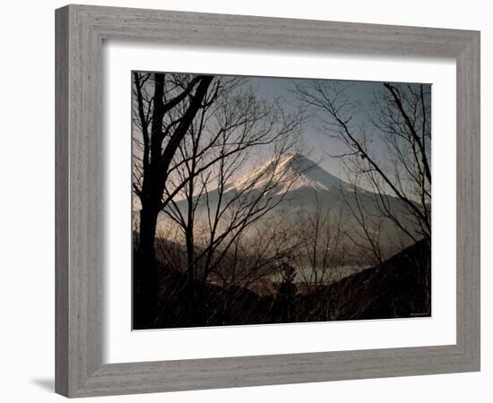 Mt. Fuji Beyond Trees-null-Framed Photographic Print