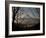 Mt. Fuji Beyond Trees-null-Framed Photographic Print