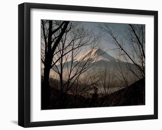 Mt. Fuji Beyond Trees-null-Framed Photographic Print