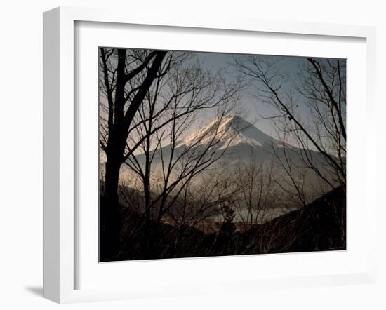 Mt. Fuji Beyond Trees-null-Framed Photographic Print