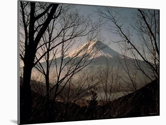 Mt. Fuji Beyond Trees-null-Mounted Photographic Print