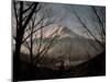 Mt. Fuji Beyond Trees-null-Mounted Photographic Print
