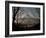 Mt. Fuji Beyond Trees-null-Framed Photographic Print