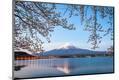 Premium Photographic Print