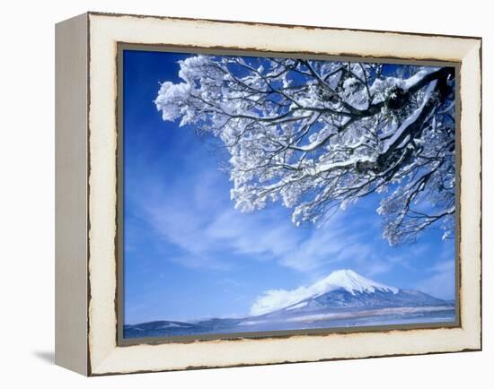 Mt. Fuji & Lake Yamanaka, Yamanashi, Japan-null-Framed Premier Image Canvas