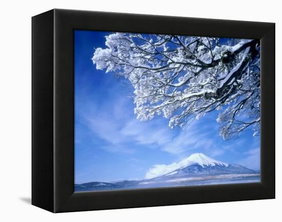 Mt. Fuji & Lake Yamanaka, Yamanashi, Japan-null-Framed Premier Image Canvas