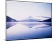 Premium Photographic Print
