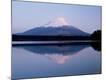 Photographic Print