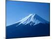 Premium Photographic Print