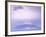 Mt. Fuji, Yamanaka Lake, Japan-Rob Tilley-Framed Photographic Print