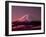 Mt. Fuji-null-Framed Photographic Print