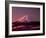 Mt. Fuji-null-Framed Photographic Print