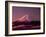 Mt. Fuji-null-Framed Photographic Print