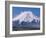 Mt. Fuji-null-Framed Photographic Print