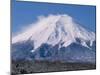 Mt. Fuji-null-Mounted Photographic Print