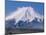 Mt. Fuji-null-Mounted Photographic Print