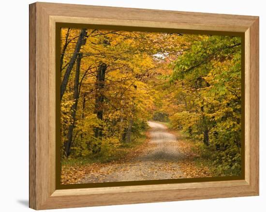 Mt. Greylock Reservation, Massachusetts, USA-Demetrio Carrasco-Framed Premier Image Canvas