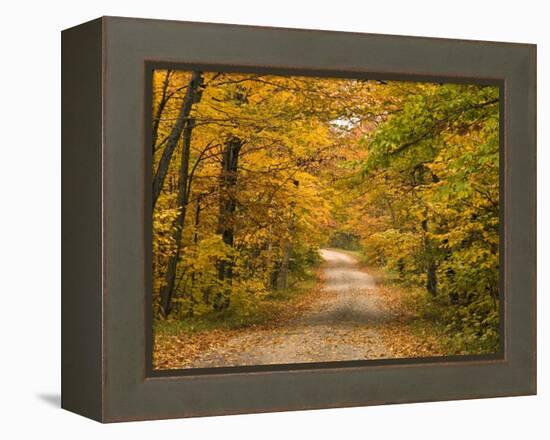 Mt. Greylock Reservation, Massachusetts, USA-Demetrio Carrasco-Framed Premier Image Canvas