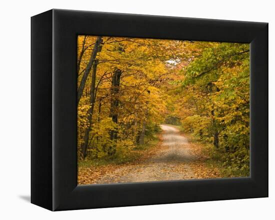 Mt. Greylock Reservation, Massachusetts, USA-Demetrio Carrasco-Framed Premier Image Canvas