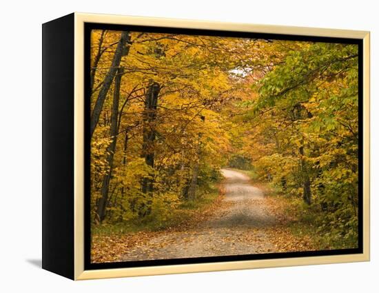 Mt. Greylock Reservation, Massachusetts, USA-Demetrio Carrasco-Framed Premier Image Canvas