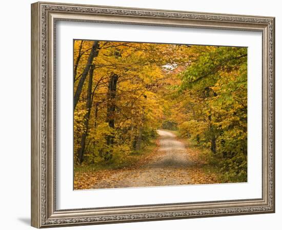 Mt. Greylock Reservation, Massachusetts, USA-Demetrio Carrasco-Framed Photographic Print