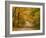 Mt. Greylock Reservation, Massachusetts, USA-Demetrio Carrasco-Framed Photographic Print