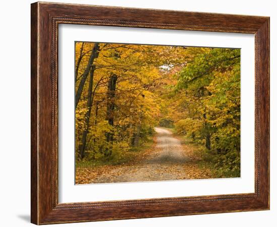 Mt. Greylock Reservation, Massachusetts, USA-Demetrio Carrasco-Framed Photographic Print