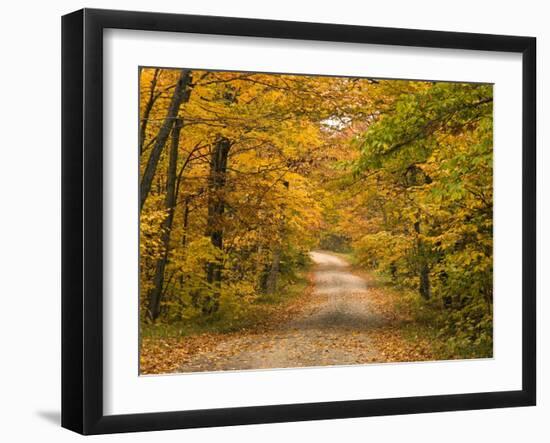 Mt. Greylock Reservation, Massachusetts, USA-Demetrio Carrasco-Framed Photographic Print