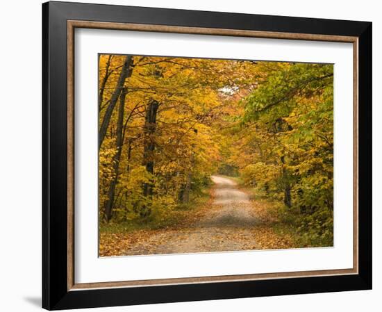 Mt. Greylock Reservation, Massachusetts, USA-Demetrio Carrasco-Framed Photographic Print