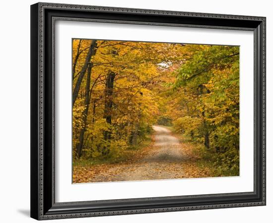 Mt. Greylock Reservation, Massachusetts, USA-Demetrio Carrasco-Framed Photographic Print