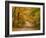 Mt. Greylock Reservation, Massachusetts, USA-Demetrio Carrasco-Framed Photographic Print