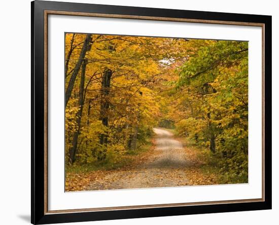 Mt. Greylock Reservation, Massachusetts, USA-Demetrio Carrasco-Framed Photographic Print