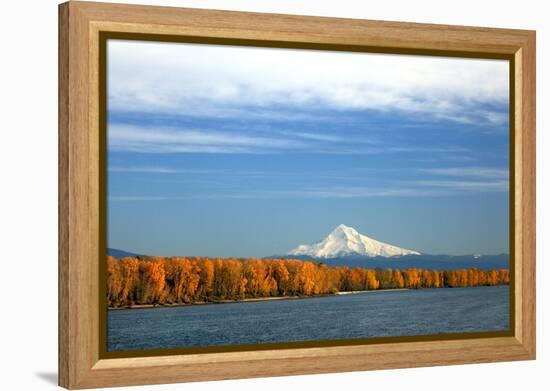 Mt. Hood and Columbia River-Steve Terrill-Framed Premier Image Canvas