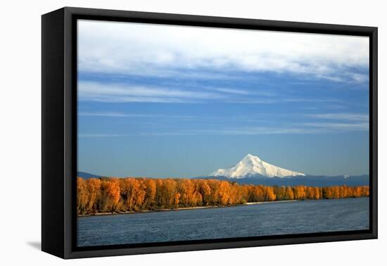 Mt. Hood and Columbia River-Steve Terrill-Framed Premier Image Canvas