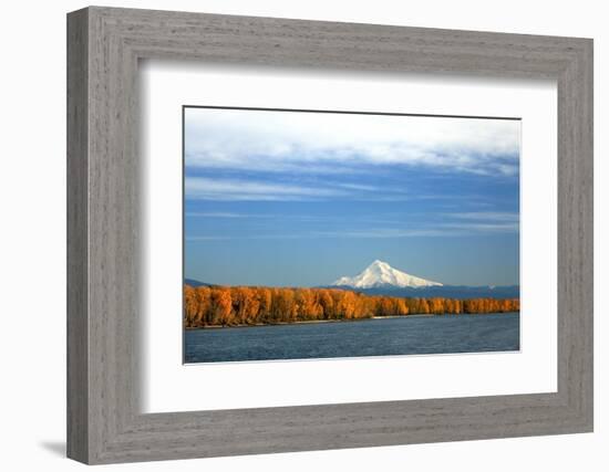 Mt. Hood and Columbia River-Steve Terrill-Framed Photographic Print