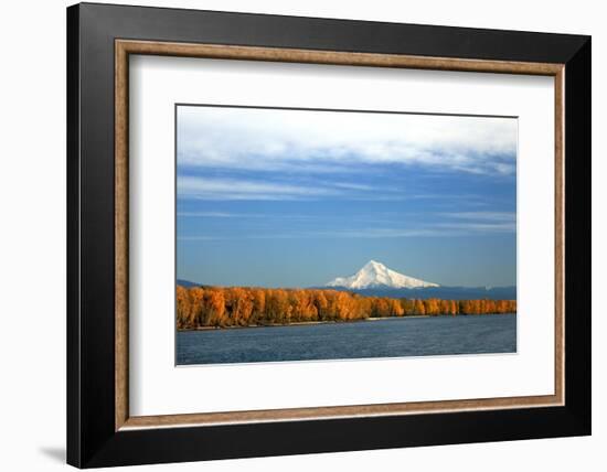 Mt. Hood and Columbia River-Steve Terrill-Framed Photographic Print