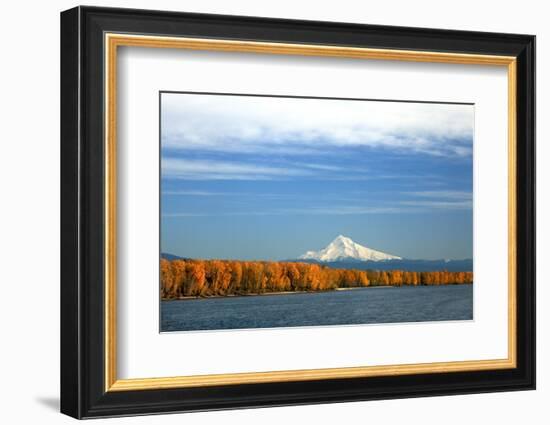 Mt. Hood and Columbia River-Steve Terrill-Framed Photographic Print