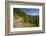 Mt. Hood from Mt. Hood National Forest. Oregon, USA-Craig Tuttle-Framed Photographic Print